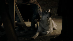 extant_GameOfThrones_1x08-ThePointyEnd_3413