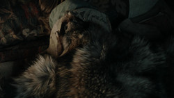 extant_GameOfThrones_1x08-ThePointyEnd_3540