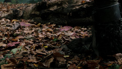 extant_GameOfThrones_1x08-ThePointyEnd_3751
