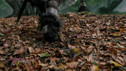 extant_GameOfThrones_1x08-ThePointyEnd_3761