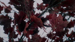 extant_GameOfThrones_1x08-ThePointyEnd_3865