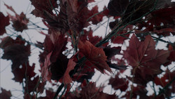extant_GameOfThrones_1x08-ThePointyEnd_3866