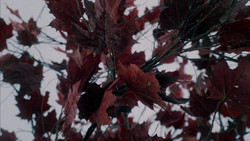extant_GameOfThrones_1x08-ThePointyEnd_3867