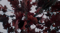 extant_GameOfThrones_1x08-ThePointyEnd_3868