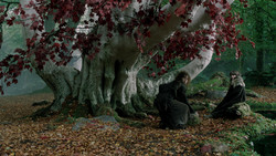 extant_GameOfThrones_1x08-ThePointyEnd_3918