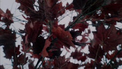 extant_GameOfThrones_1x08-ThePointyEnd_3997