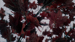 extant_GameOfThrones_1x08-ThePointyEnd_3998