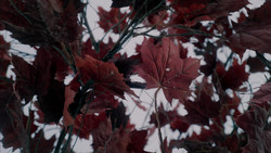 extant_GameOfThrones_1x08-ThePointyEnd_3999