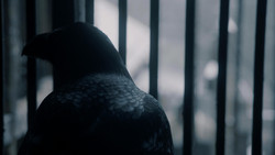 extant_GameOfThrones_1x09-Baelor_1677