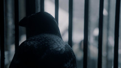 extant_GameOfThrones_1x09-Baelor_1678