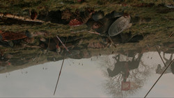 extant_GameOfThrones_1x09-Baelor_4614