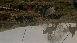 extant_GameOfThrones_1x09-Baelor_4615