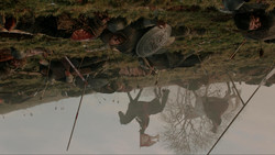 extant_GameOfThrones_1x09-Baelor_4617