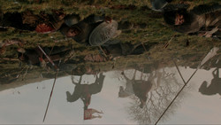 extant_GameOfThrones_1x09-Baelor_4619