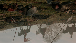 extant_GameOfThrones_1x09-Baelor_4620