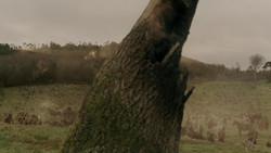 extant_GameOfThrones_1x09-Baelor_4690