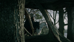 extant_GameOfThrones_1x09-Baelor_4780