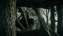 extant_GameOfThrones_1x09-Baelor_4781