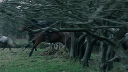 extant_GameOfThrones_1x09-Baelor_4829