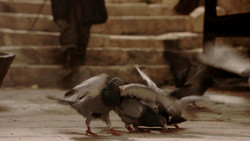 extant_GameOfThrones_1x09-Baelor_5104