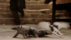 extant_GameOfThrones_1x09-Baelor_5105