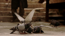 extant_GameOfThrones_1x09-Baelor_5106