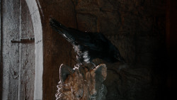 extant_GameOfThrones_1x10-FireAndBlood_0165