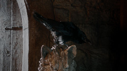 extant_GameOfThrones_1x10-FireAndBlood_0166