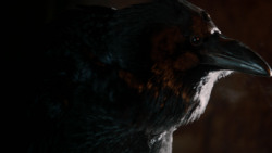 extant_GameOfThrones_1x10-FireAndBlood_0171