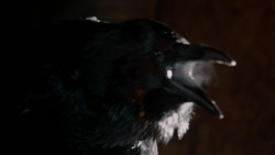 extant_GameOfThrones_1x10-FireAndBlood_0172