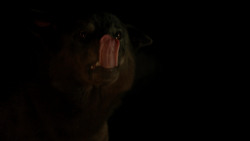 extant_GameOfThrones_1x10-FireAndBlood_0306