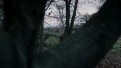 extant_GameOfThrones_1x10-FireAndBlood_0452
