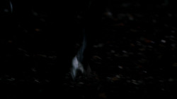 extant_GameOfThrones_1x10-FireAndBlood_3011