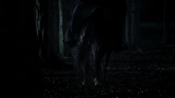 extant_GameOfThrones_1x10-FireAndBlood_3014