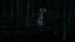 extant_GameOfThrones_1x10-FireAndBlood_3056