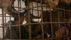 extant_GameOfThrones_1x10-FireAndBlood_4195
