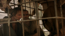 extant_GameOfThrones_1x10-FireAndBlood_4196