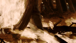 extant_GameOfThrones_1x10-FireAndBlood_5166