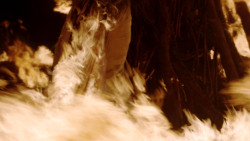 extant_GameOfThrones_1x10-FireAndBlood_5187