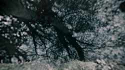 extant_GameOfThrones_2x01-TheNorthRemembers_1176