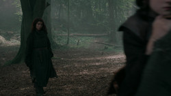 extant_GameOfThrones_2x01-TheNorthRemembers_1247