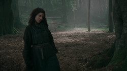 extant_GameOfThrones_2x01-TheNorthRemembers_1254