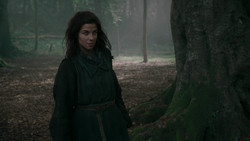 extant_GameOfThrones_2x01-TheNorthRemembers_1257