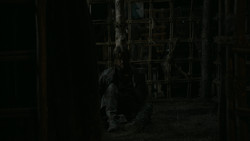 extant_GameOfThrones_2x01-TheNorthRemembers_3332