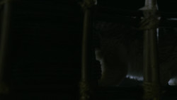 extant_GameOfThrones_2x01-TheNorthRemembers_3471