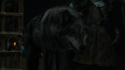 extant_GameOfThrones_2x01-TheNorthRemembers_3520