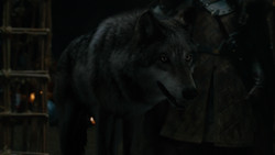 extant_GameOfThrones_2x01-TheNorthRemembers_3521