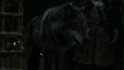 extant_GameOfThrones_2x01-TheNorthRemembers_3522