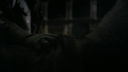 extant_GameOfThrones_2x01-TheNorthRemembers_3549