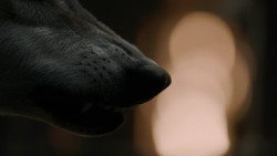 extant_GameOfThrones_2x01-TheNorthRemembers_3621